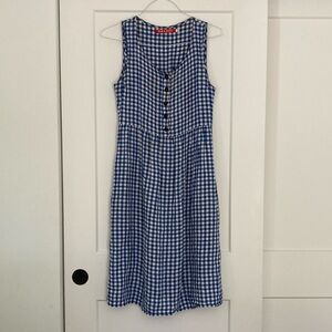 Pyne & Smith Blue Gingham Dress